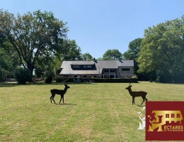 Vignette - Touristique - Maison Nort Sur Erdre 2 habitations, 1,7 hectares 12 pièce(s) 350 m2