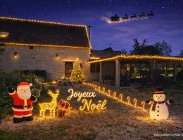 Vignette - Touristique - Propriete à vendre 8 pièces TOUCHAY (18)