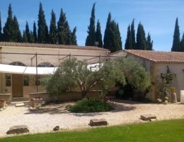 Vignette - Équestre - Au pied des Alpilles : mas de charme avec installations équestres (13)