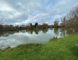 Vignette - Foncière - Terrain à vendre  MONTMIRAIL (72)
