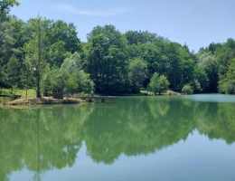 Vignette - Touristique - Propriété