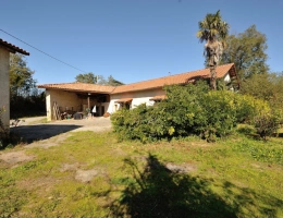 Vignette - Touristique - Propriete à vendre 3 pièces, dépendances sur 1.4 ha BALESTA (31)