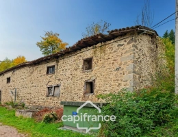 Vignette - Touristique - Grange de plus de 135 m² à vendre CELLES SUR DUROLLE (63)
