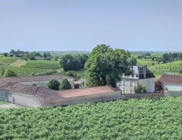 Vignette - Prestige - Propriété à vendre 18 pièces proche de COGNAC - Terrain de 3,2 Ha