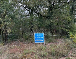 Vignette - Rurale - Terrain à vendre  16300m² SAINT PANTALY D'EXCIDEUIL (24)