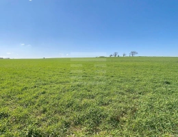 Vignette - Agricole - Terrain agricole