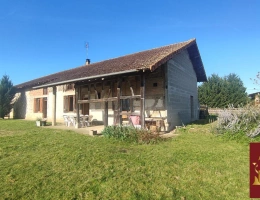 Vignette - Equestrian - Habitation et écurie sur 4,1 hectares