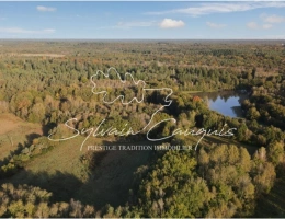 Vignette - Forestière - Propriété de Chasse et d'Agrément de 185 ha en Sologne