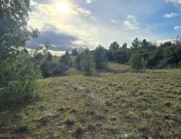 Vignette - Agricultural - Agricultural land of 8,500 m² in GABIAN (34)