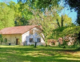 Vignette - Tourist - House