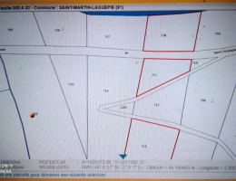 Vignette - Land - Woodland – forest