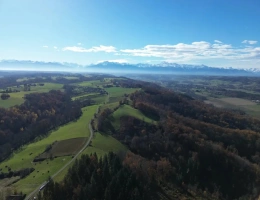 Vignette - Forestière - FORÊT DE PRODUCTION DE PEUPLEMENTS MIXTES