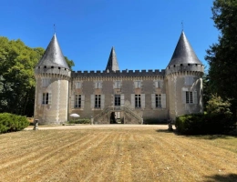 Vignette - Prestige - Château