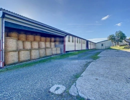 Vignette - Agricultural - Ovins / Caprins