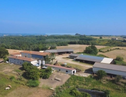 Vignette - Agricultural - Farming property