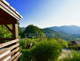 Vignette - Touristique - Dpt Corse (20), à vendre EVISA, ensemble de six chalets en bois avec terrasse, sur terrain avec piscine et parking