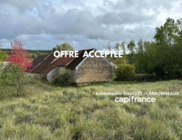 Vignette - Rural - Ensemble de grange et écurie en pierre avec jardin, dans un environnement paisible proche de POUILLY
