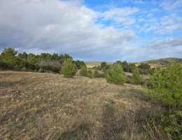 Vignette - Agricole - Terrain à agricole de 8 500 m² à GABIAN (34)