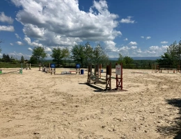 Vignette - Équestre - Ecurie d'élevage et de valorisation de chevaux et poneys