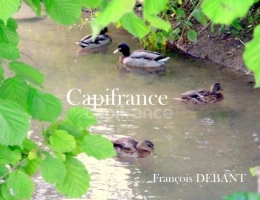 Vignette - Rurale - Terrain à vendre   ()