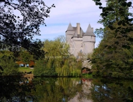 Vignette - Prestige - Splendide Château Médiéval Classé - Château se distingue par son élégance sur un domaine d’environ 13 hectares mêlant bois, prairies