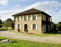 Vignette - Vineyard - Exceptional Wine Estate in the Armagnac Region