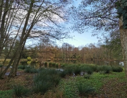 Vignette - Rurale - Terrains de loisirs avec étang