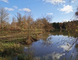 Vignette - Rurale - Etang et Mobil-home