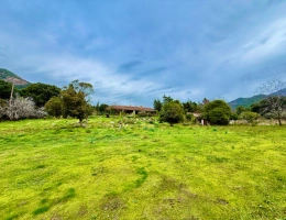 Vignette - Touristique - SAGONE (Corse) : Propriete à vendre, maison T4 + dépendance avec 2 appartements T1, sur terrain plat de 5000m2