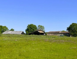Vignette - Agricultural - Farm with outbuildings