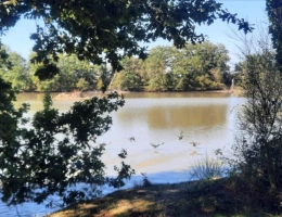 Vignette - Forestière - ARTHON étang