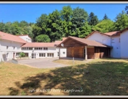 Vignette - Équestre - Colonie de vacances ou propriété équestre à vendre à PEXONNE (54)