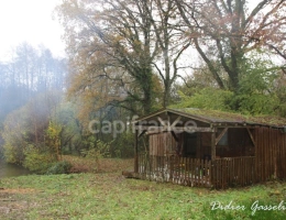 Vignette - Forestière - Terrain à vendre  GREEZ SUR ROC (72)