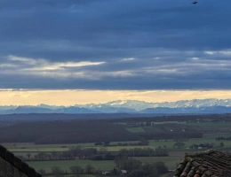 Vignette - Rural - House