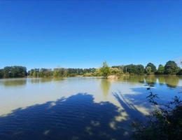 Vignette - Forest - ARTHON étang