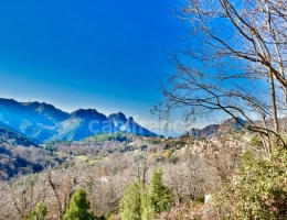 Vignette - Prestige - EVISA (CORSE) A VENDRE : Ensemble immobilier touristique : bâtiment gîte-hôtel/restaurant + 6 chalets avec piscine