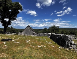 Vignette - Agricole - Terrain