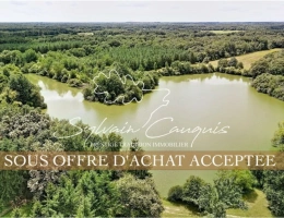 Vignette - Forest - 185-hectare hunting and leisure estate in Sologne