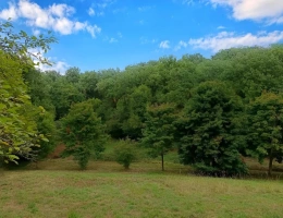 Vignette - Agricole - Terrain agricole