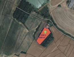 Vignette - Forestière - Terrain boisé – forêt