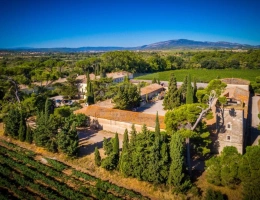 Vignette - Touristique - Propriété viticole