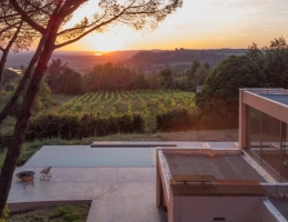 Vignette - Prestige - Petit domaine viticole d'agrément à faire renaître avec superbe villa