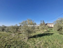 Vignette - Prestige - Propriété agricole