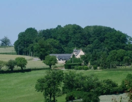 Vignette - Rurale - amateur de verdure