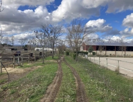 Vignette - Équestre - Structure équestre complète pour démarrer une activité