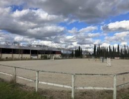 Vignette - Équestre - Structure équestre complète pour démarrer une activité