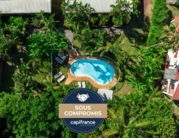 Vignette - Prestigious - Magnifique propriété avec une villa, un studio et 6 bungalows à vendre LA RIVIERE (974)