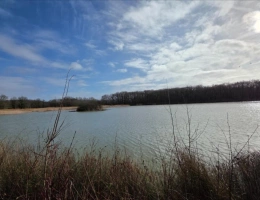 Vignette - Forestière - Mezières en Brenne, Etang pour la chasse et la pêche
