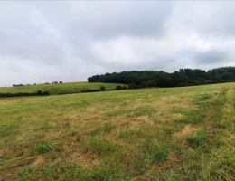 Vignette - Agricole - EXCLUSIF Nord Indre Exploitation caprin