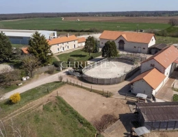 Vignette - Équestre - Vente domaine équestre près de Poitiers